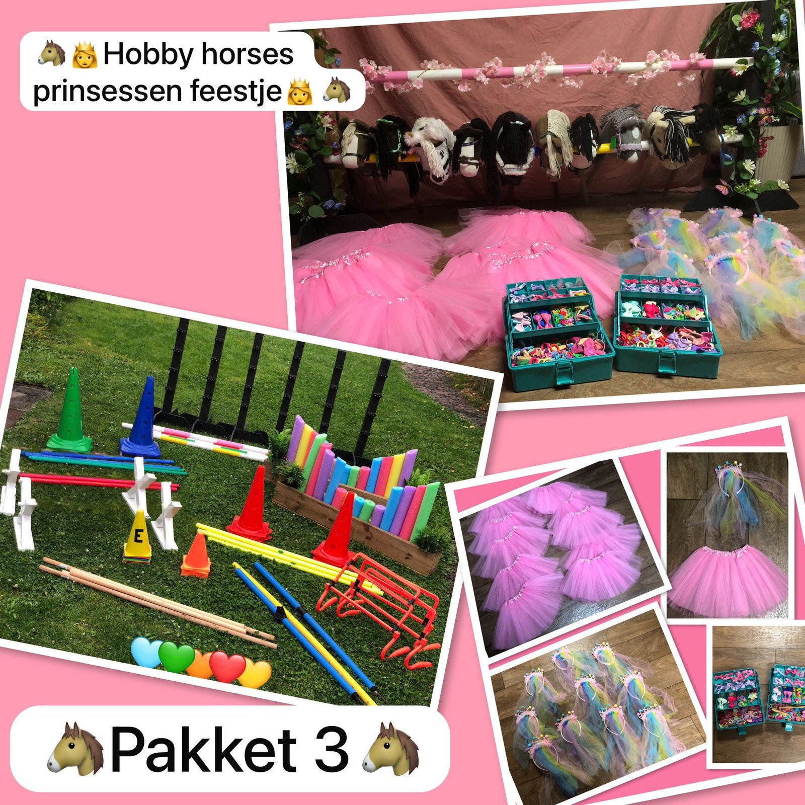 Prinsessen feestje hobby horses feestje, Ophalen