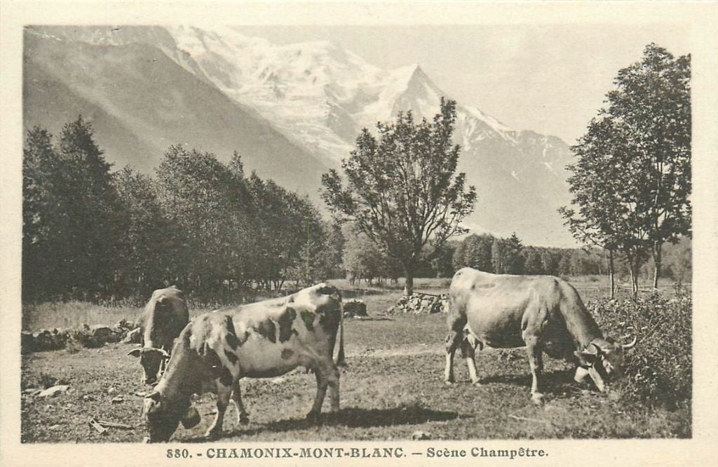 701-496-045 Chamonix, Verzenden, Voor 1920, Frankrijk