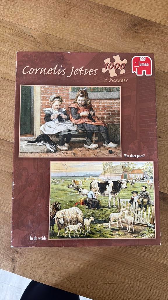 Puzzel Cornelis Jetses, Ophalen of Verzenden, 500 t/m 1500 stukjes, Zo goed als nieuw