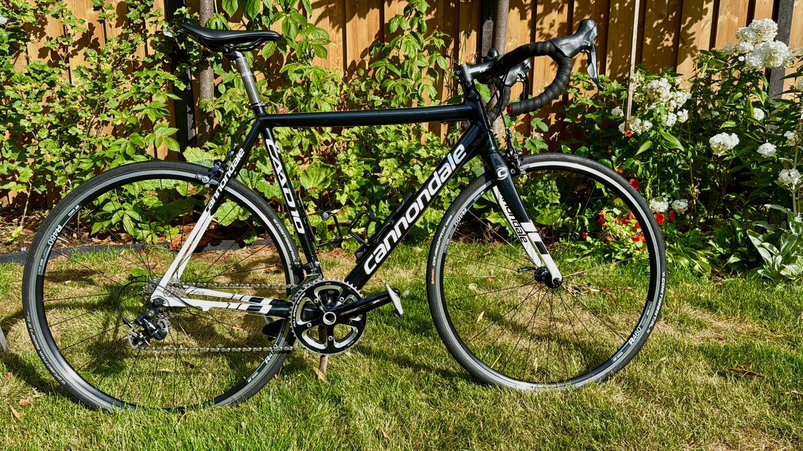 Cannondale caad 10 (L56cm=178cm-186cm), Fietsen en Brommers, Fietsen | Racefietsen, 28 inch, Gebruikt, Heren, Aluminium