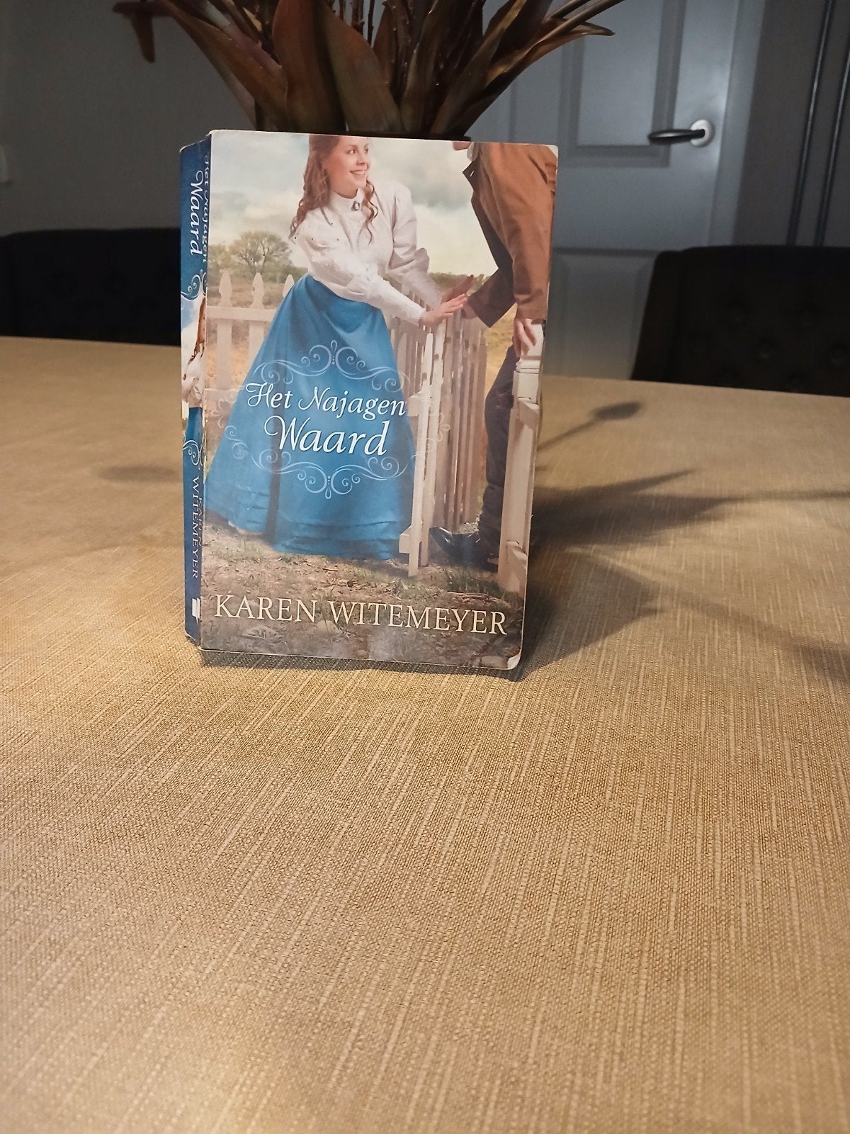 Het Najagen Waard - Karen Witemeyer (Roman), Ophalen of Verzenden, Zo goed als nieuw, Karen Witemeyer, Nederland