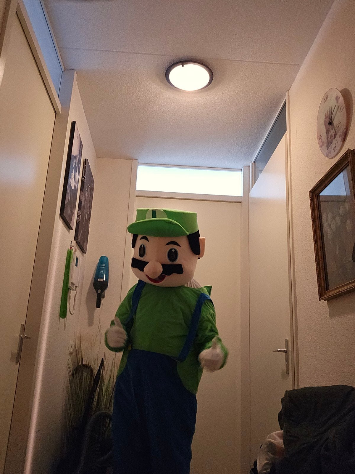 Mascotte Kostuums: Mario en Luigi voor Feestjes en Events, Ophalen, Nieuw, Bovenkleding