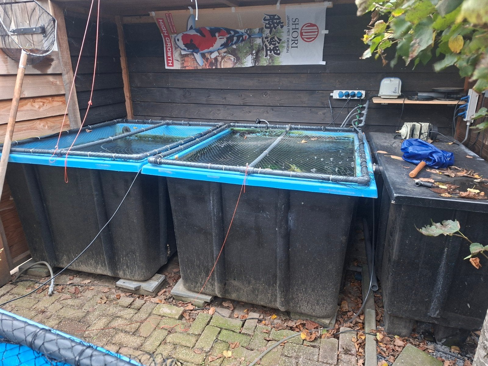 quarantaine bakken 2 stuks afm 145x165 met filtersysteem, Ophalen, Vijverfilter