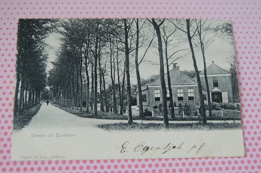 Groete uit Zuidhorn, Ophalen of Verzenden, Voor 1920, Gelopen, Groningen