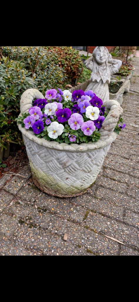 Betonnen bloembak, bloemenmand beton, Ophalen, Gebruikt, Rond, Beton
