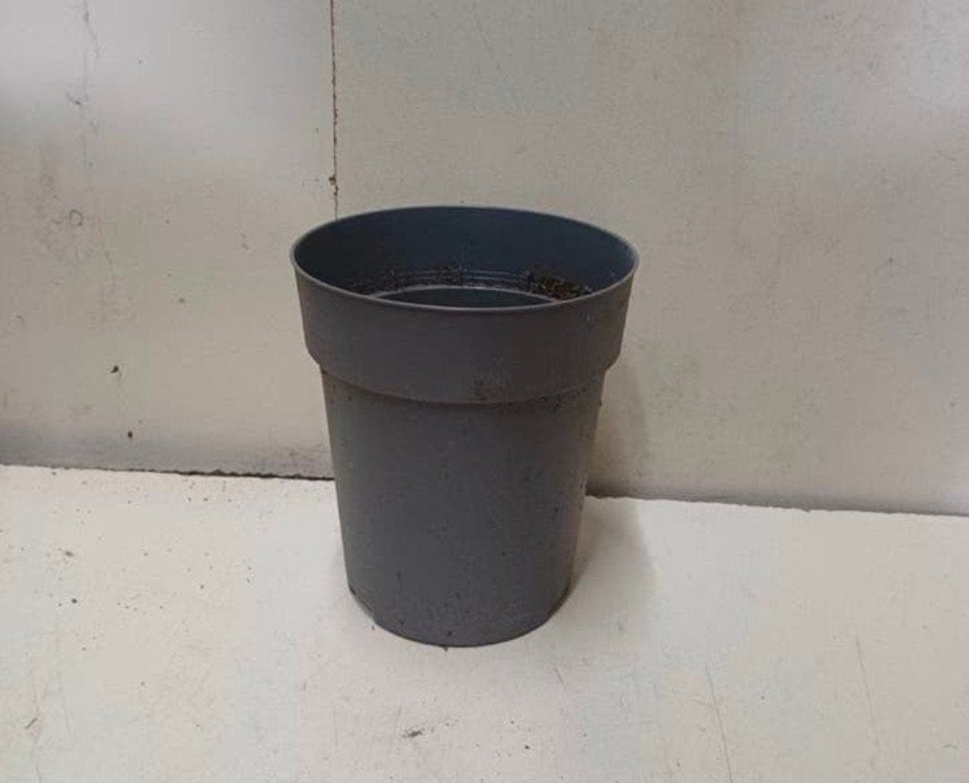 Hoge kweekpotten plantenpotten bloempotten  17 cm, Tuin en Terras, Bloempotten, Kunststof, Gebruikt, Rond, Ophalen of Verzenden