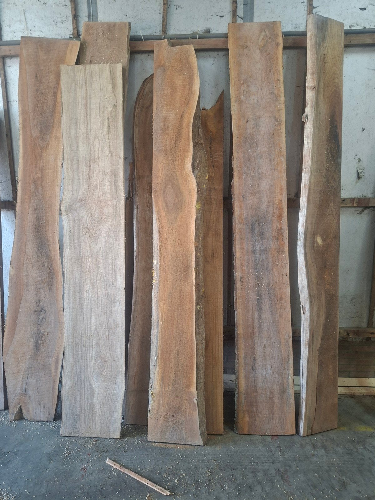 iepenhouten schaaldelen, Ophalen of Verzenden, Overige houtsoorten, 300 cm of meer, Plank