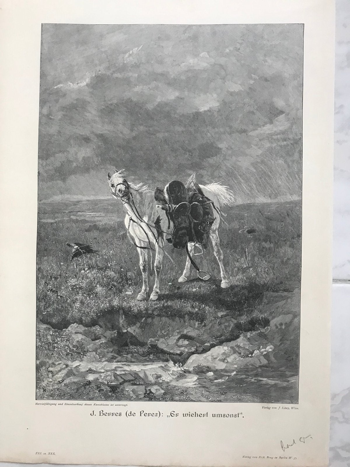 J. Berres (de Perez): Er wiehert umsonst, 1896, 32x22cm.Mooi, Origineel, Dagelijks leven, 1800 - 1899, 22 cm