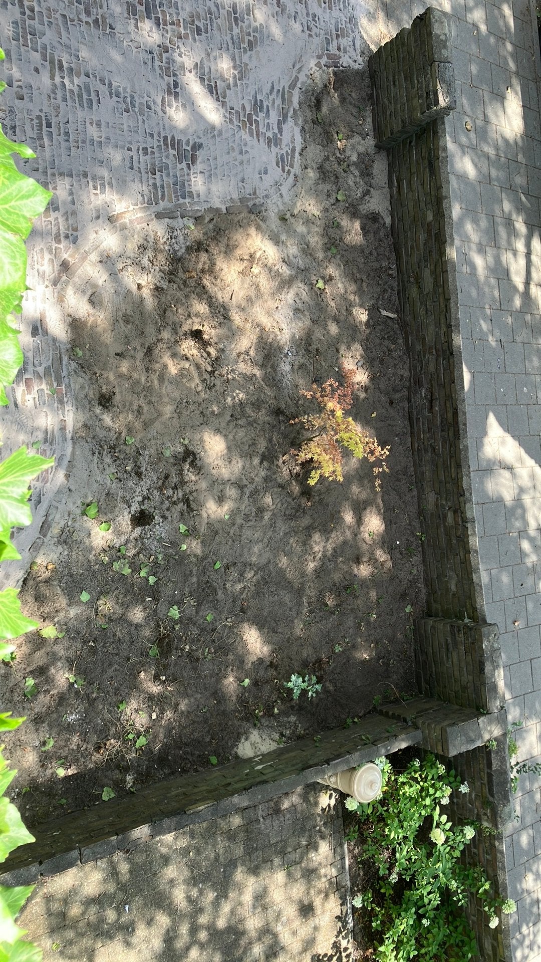~2m3 Zwarte grond, Ophalen
