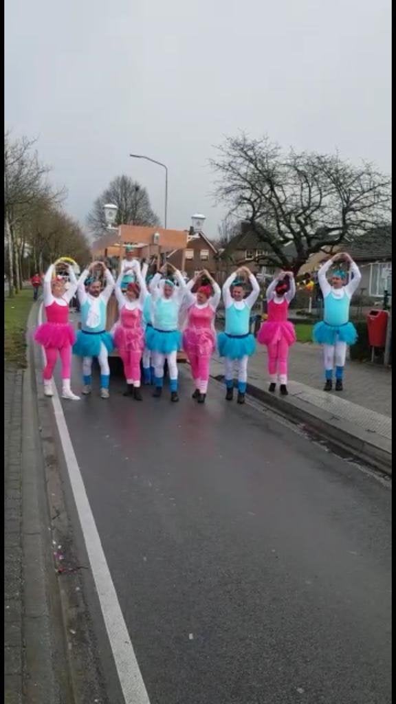 Kleding  ballet ( carnaval), Ophalen of Verzenden, Zo goed als nieuw, Carnaval