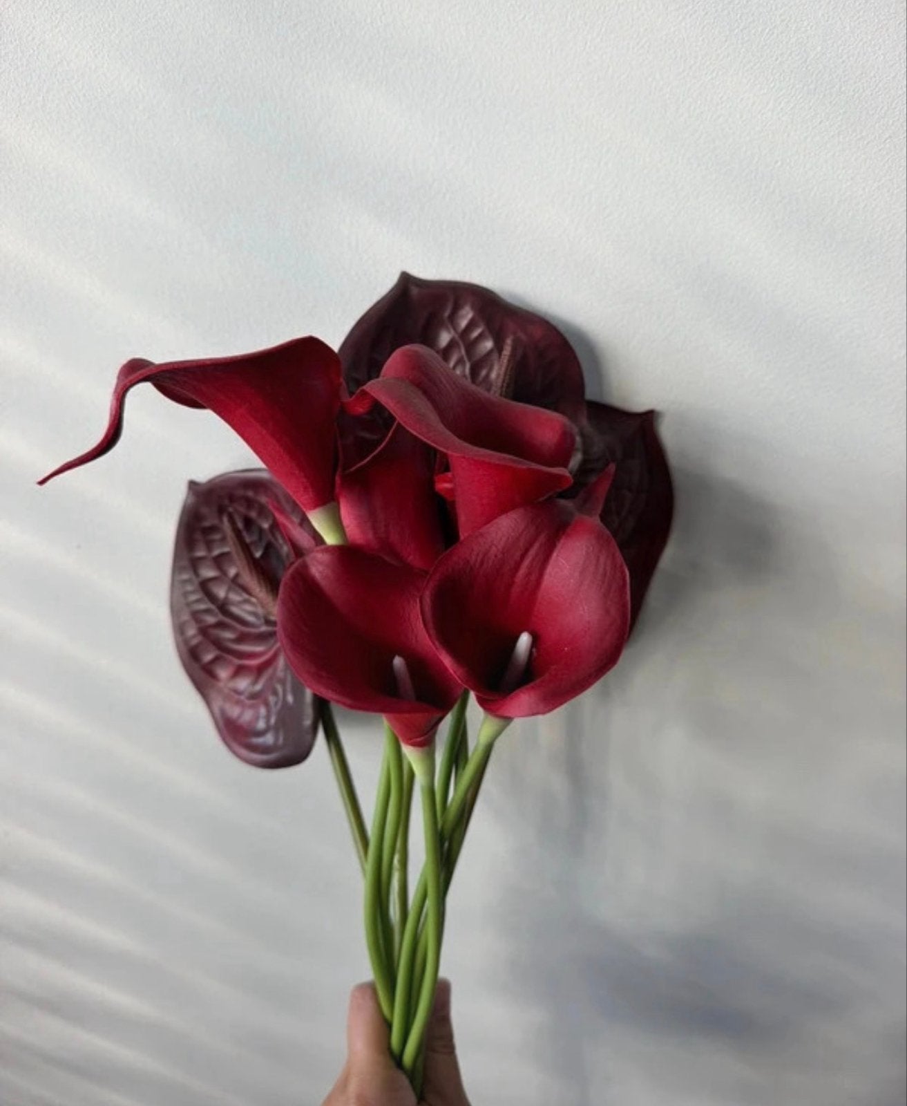 Prachtige donkerrode Calla lelies en Anthuriums, Overige soorten, Vaste plant, Ophalen of Verzenden, Halfschaduw