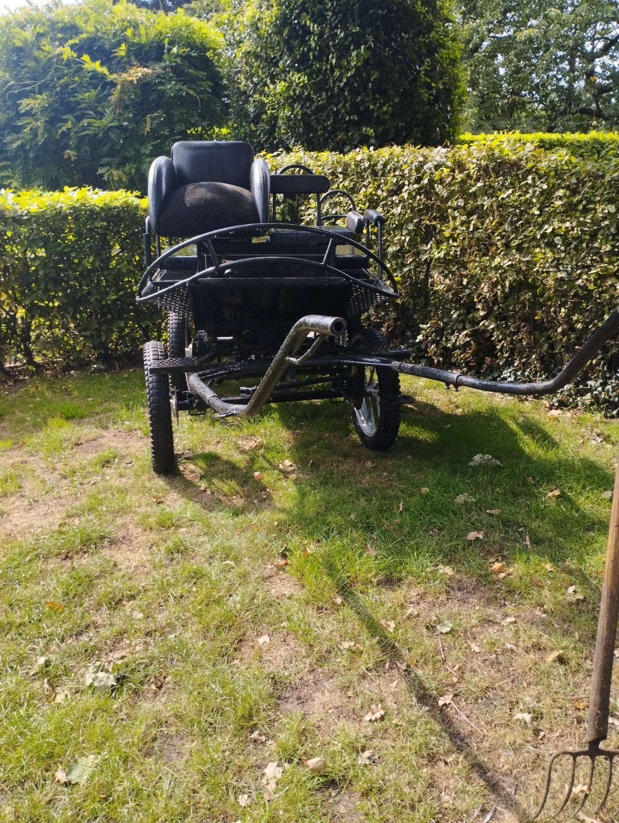 recreatiewagen (koets) en mentuig voor enkelspan, Gebruikt, Marathonwagen, Paard of Pony