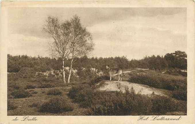 301-410-005 de Lutte Het Lutterzand, Verzenden, Voor 1920, Overijssel