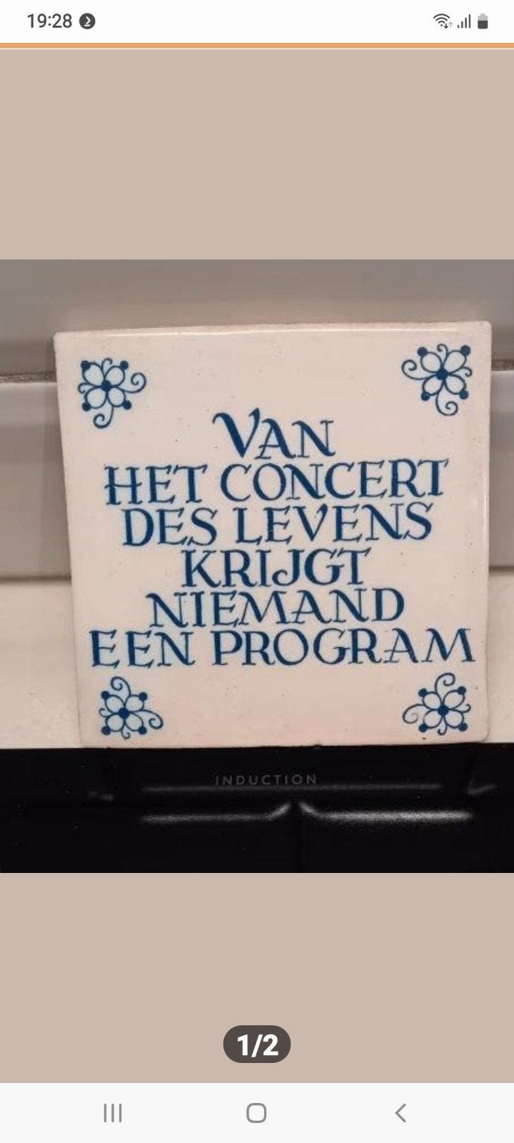 Makkum tegel, Ophalen of Verzenden