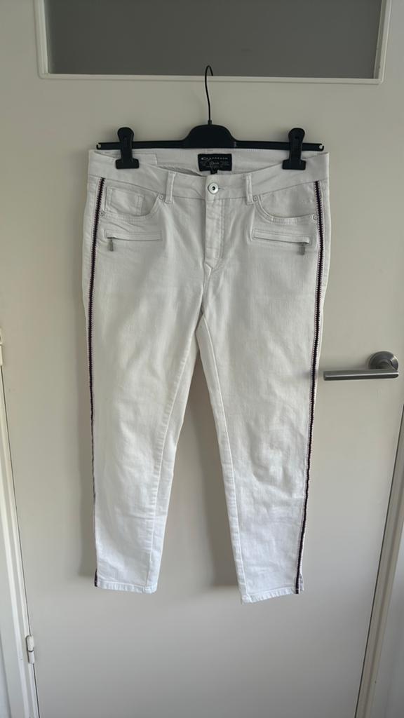 Golf broek Expresso maat 40, Ophalen of Verzenden, Nieuw, Kleding