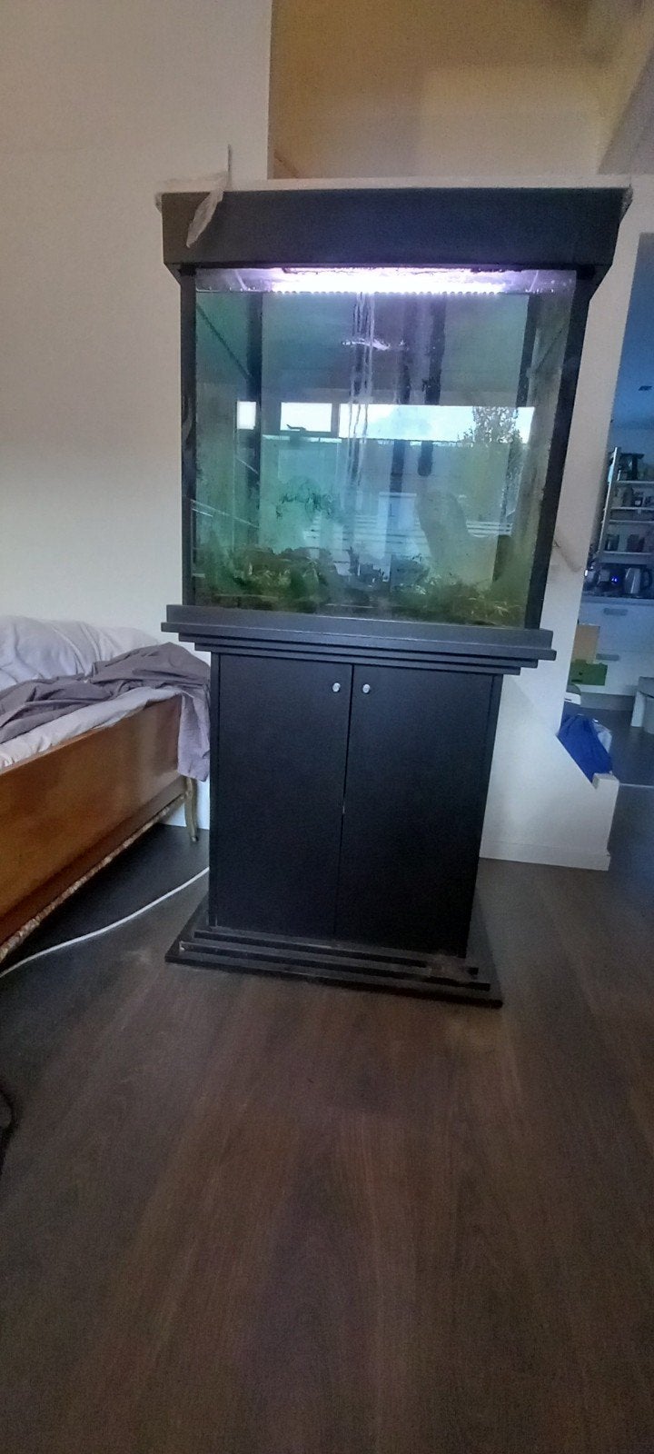 Aquarium, Ophalen, Inclusief deksel, Gebruikt, Leeg aquarium