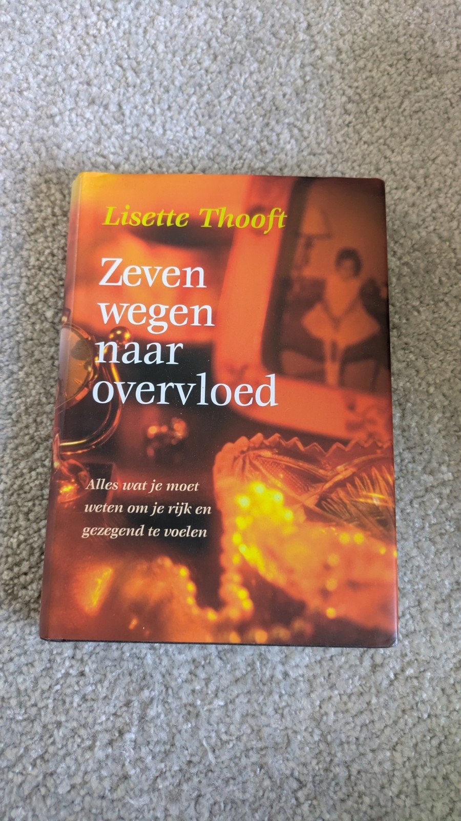 Zeven Wegen naar Overvloed - Lisette Thooft hardcover, Ophalen of Verzenden, Zo goed als nieuw, Nederland, Lisette Thooft