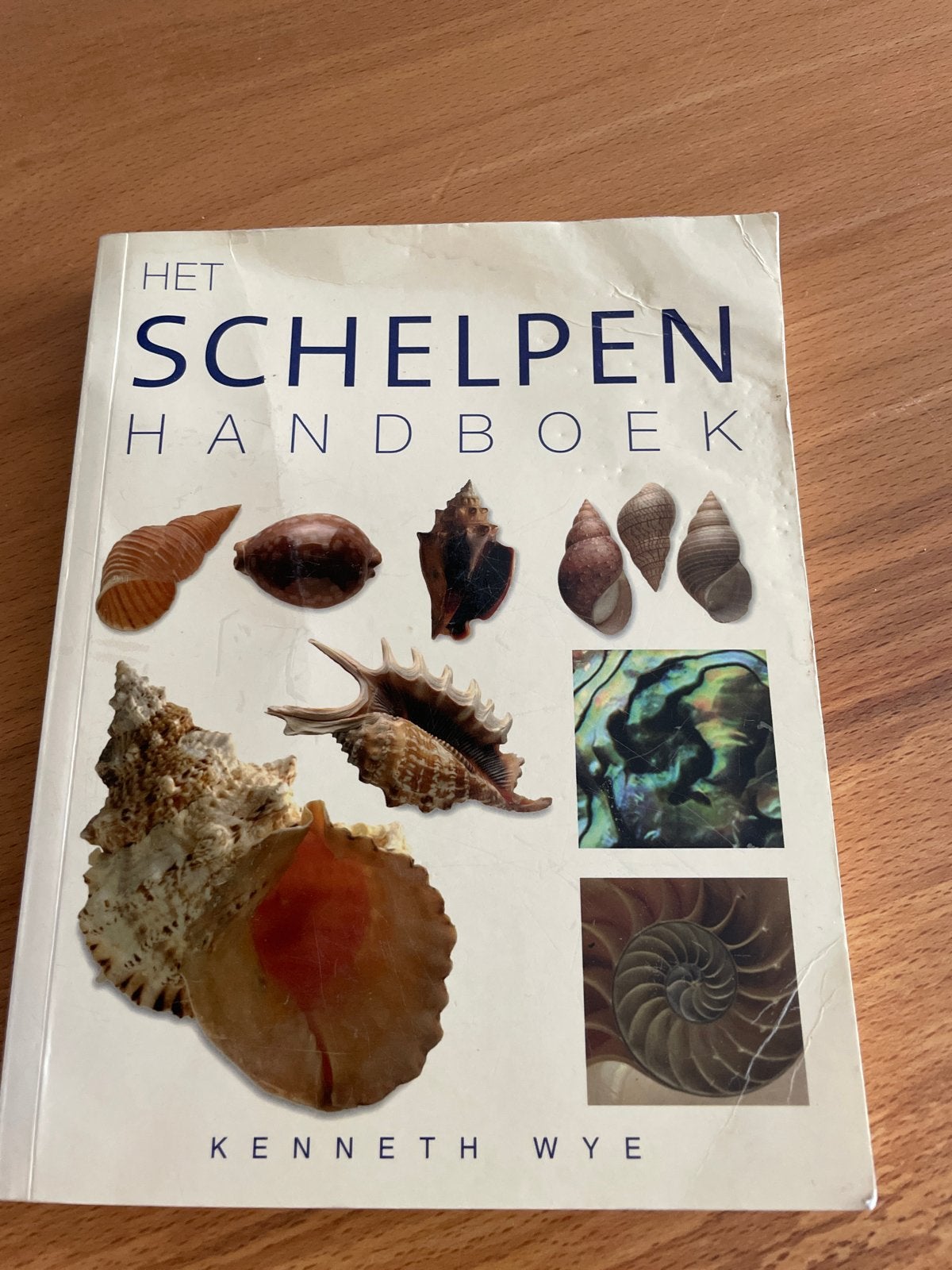 Het Schelpen Handboek - Kenneth Wye, Ophalen, Zo goed als nieuw, Natuur algemeen