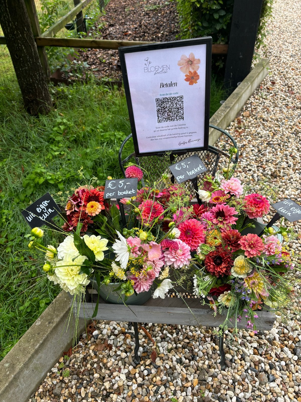 Pluktuin boeketten: Dahlia's, eenjarigen en vaste planten, Volle zon, Eenjarig, Zomer, Ophalen