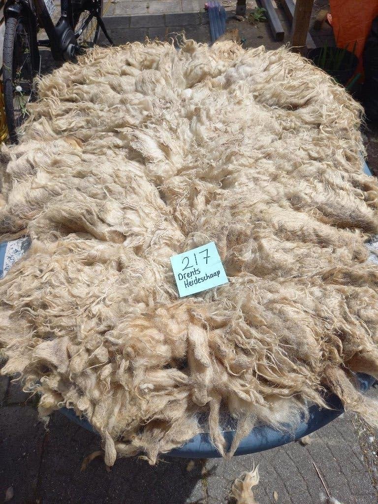 nr 217 Geschoren vacht van een Drents Heideschaap, Hobby en Vrije tijd, Ophalen of Verzenden, Gebruikt