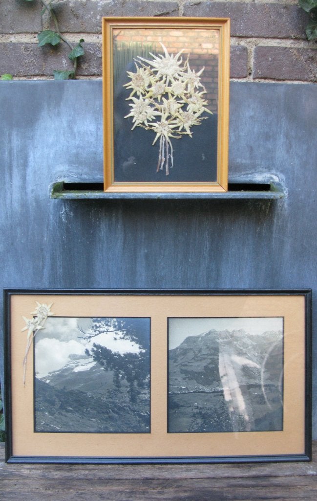 FOTO'S IN LIJST TIROL '40-'50 OOSTENRIJK + EDELWEIS, Antiek en Kunst, Ophalen of Verzenden, Foto, Met ophangsysteem