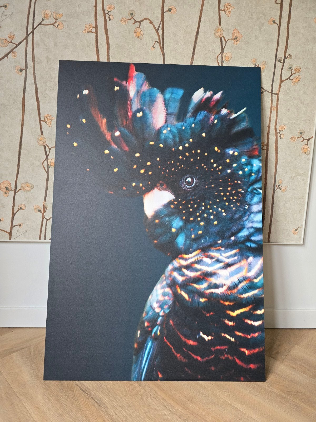 Kaketoe vogel poster op dibond - 60x90 cm, Ophalen, Zo goed als nieuw, Foto of Poster, 75 – 100