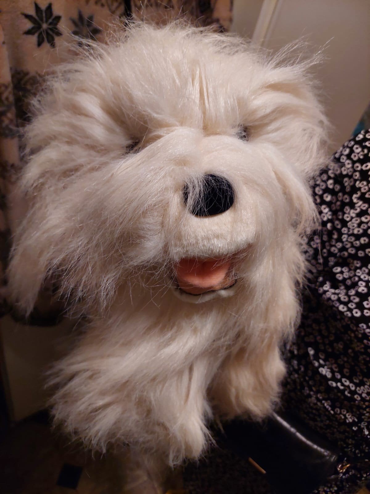Samson knuffel - Zo goed als nieuw, Overige merken, Overige karakters, Middelgroot (20 tot 80 cm), Wit