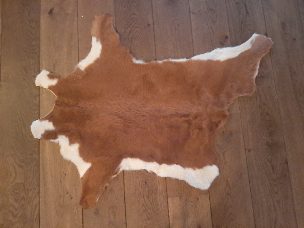 koeienhuid of koeienvel klein bruin en wit, Huis en Inrichting, Ophalen, 100 tot 150 cm, Bruin, 50 tot 100 cm