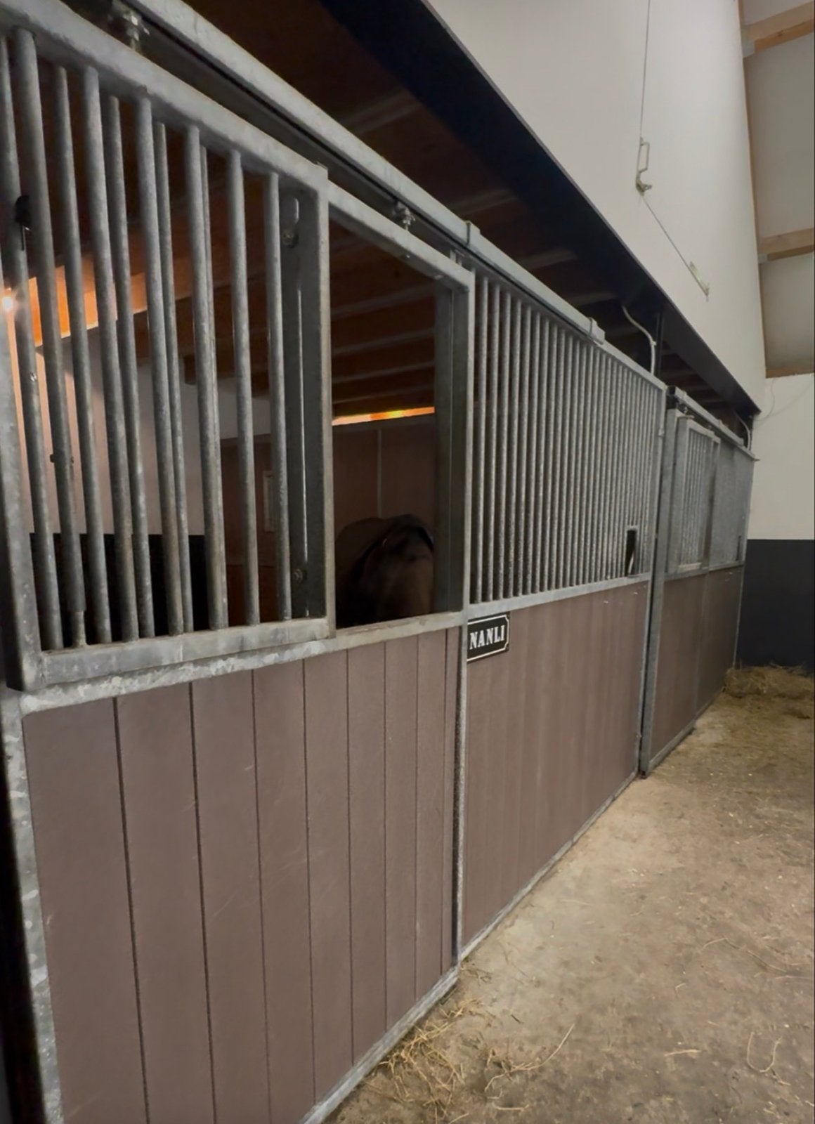 Paardenbox voorwand tussenwand