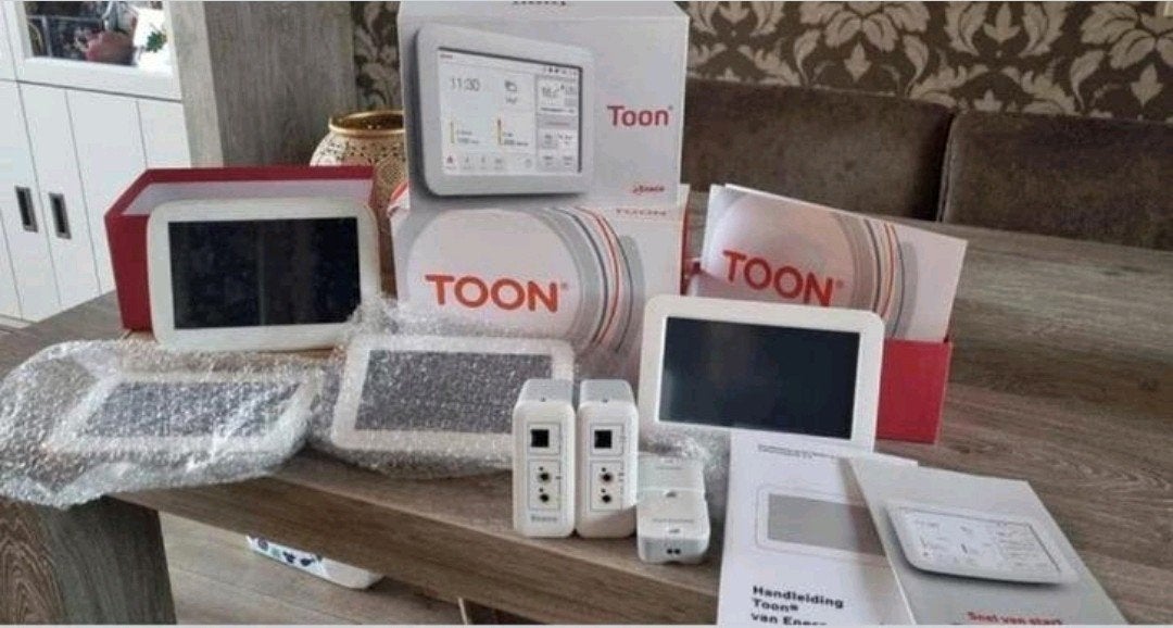 Toon 1 & 2 Thermostaat Rooten - GEBRUIKEN ZONDER ABBONEMENT, Ophalen of Verzenden, Minder dan 60 cm, Minder dan 30 cm