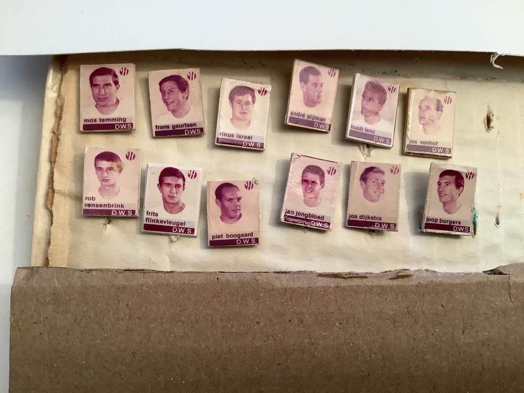 12 speldjes DWS van Houten, Ophalen of Verzenden, Gebruikt