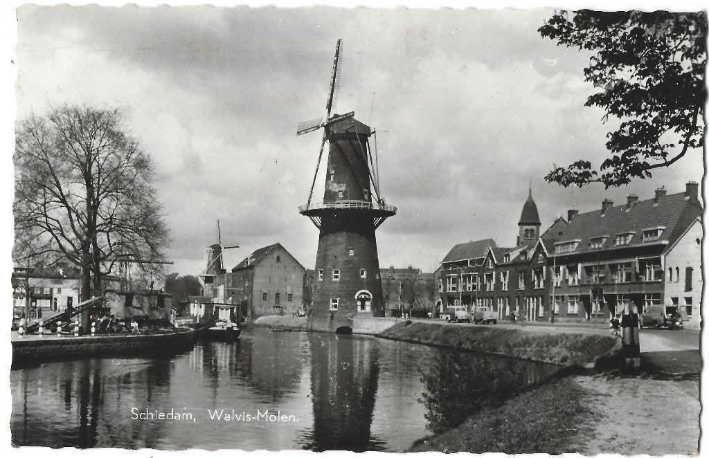 Schiedam, Walvis - Molen, Verzenden, 1940 tot 1960, Gelopen, Zuid-Holland
