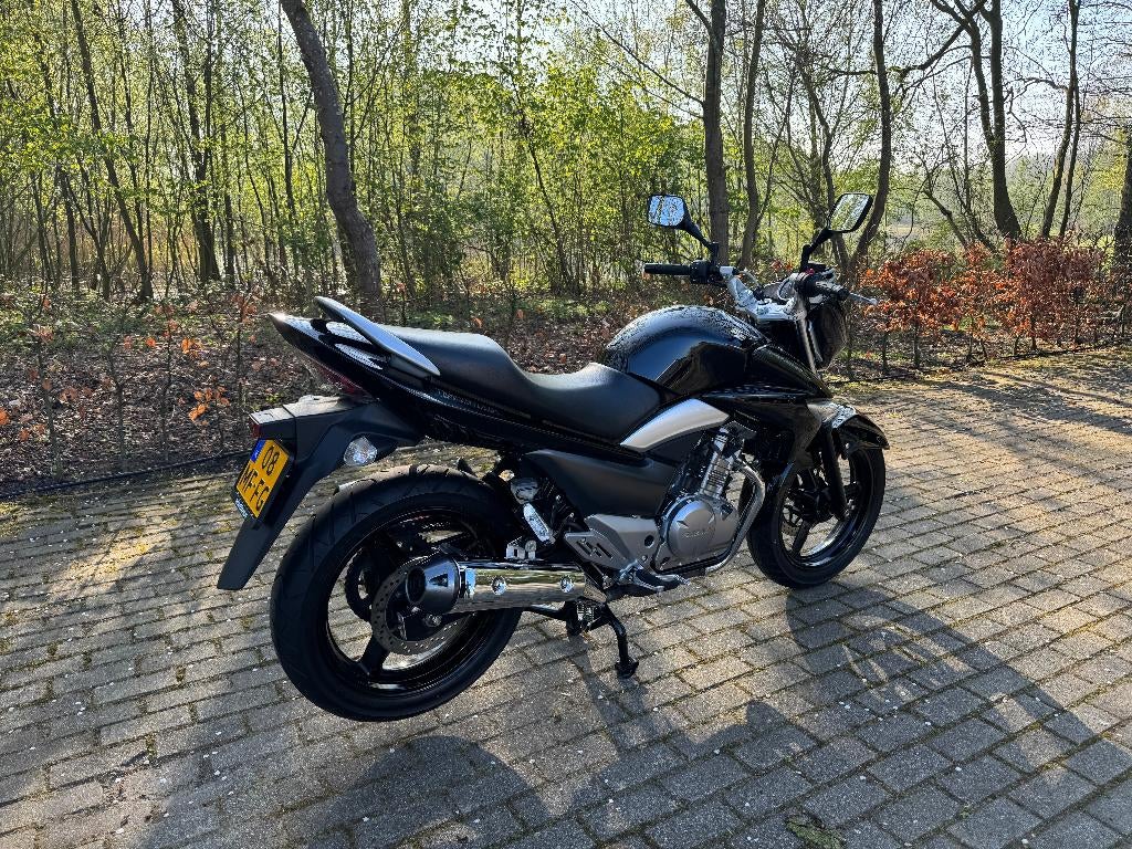 suzuki inazuma GW250 (A2 Motor), 2 cilinders, Occasion, Bedrijf, 248 cc