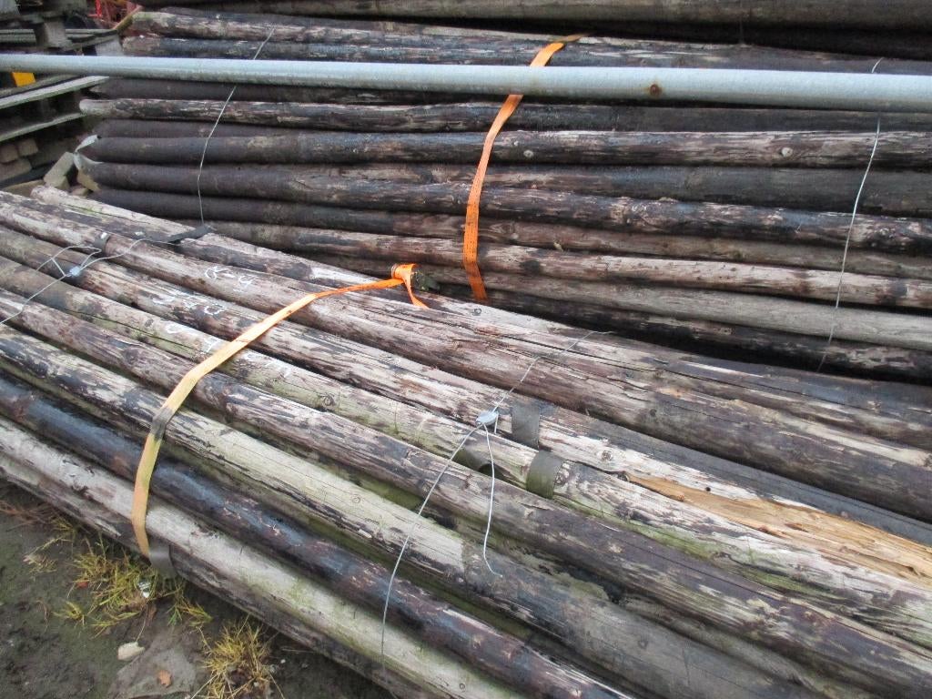 boompalen   lang 300  cm  dik  8-9  cm, Tuin en Terras, Ophalen, Gebruikt, 250 cm of meer, Palen