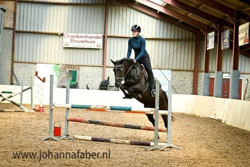 Lieve allround merrie is opzoek naar een nieuw huisje, Dieren en Toebehoren, Merrie, Recreatiepony, 11 jaar of ouder