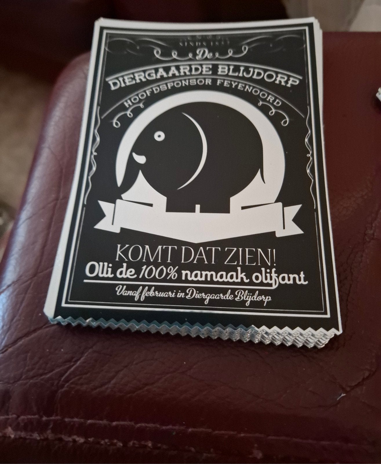 Sticker Feyenoord  / Olli, Ophalen of Verzenden, Nieuw, Sport