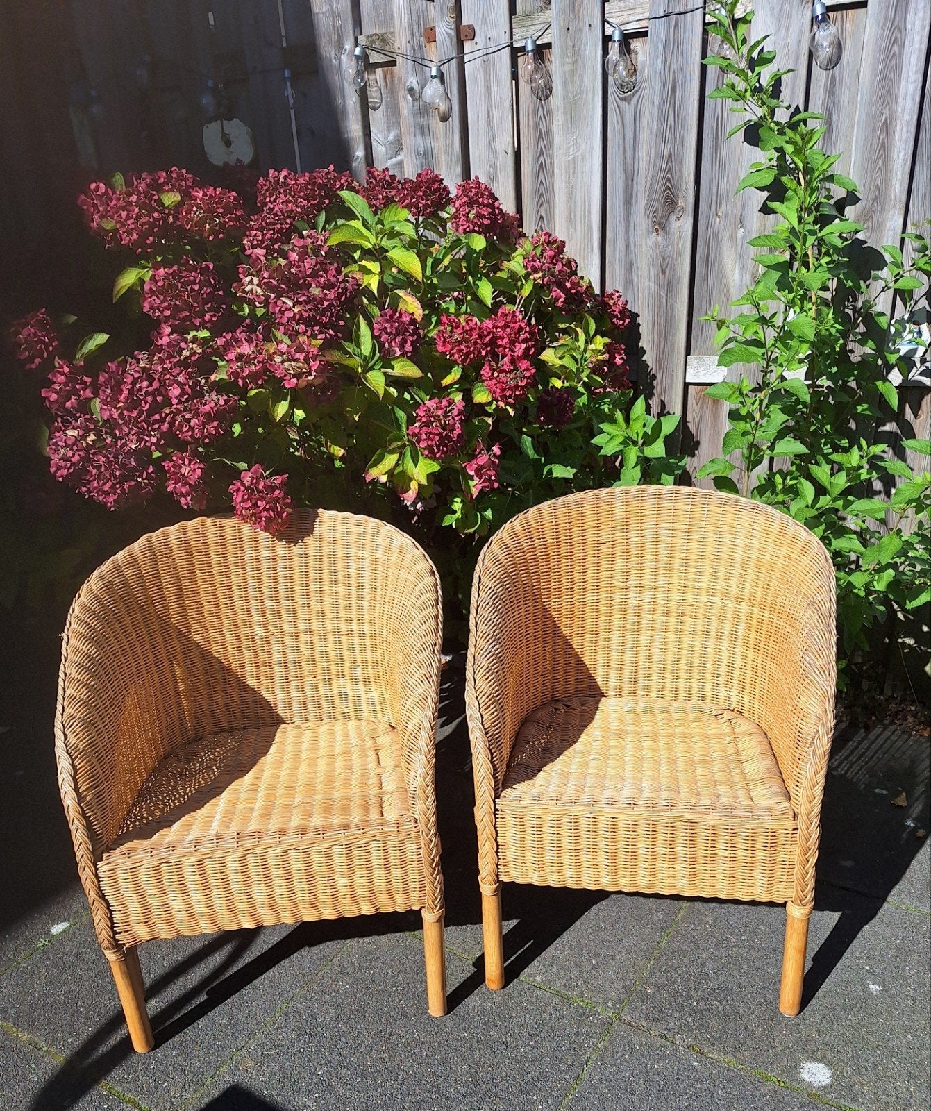 Set van 2 rotan stoelen, Ophalen, Gebruikt, Riet of Rotan, Twee
