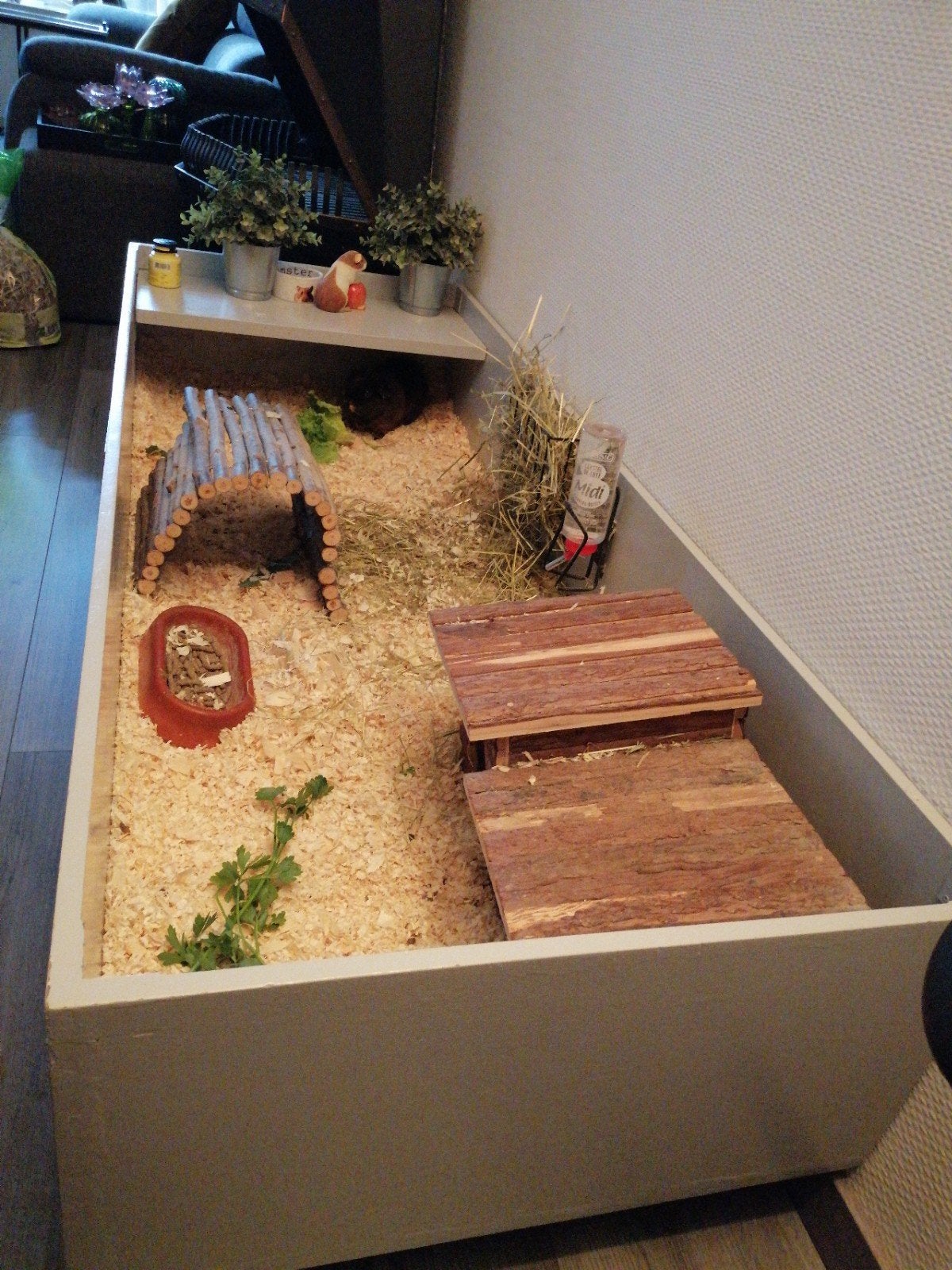 Te koop mooi cavia hok, Dieren en Toebehoren, Ophalen