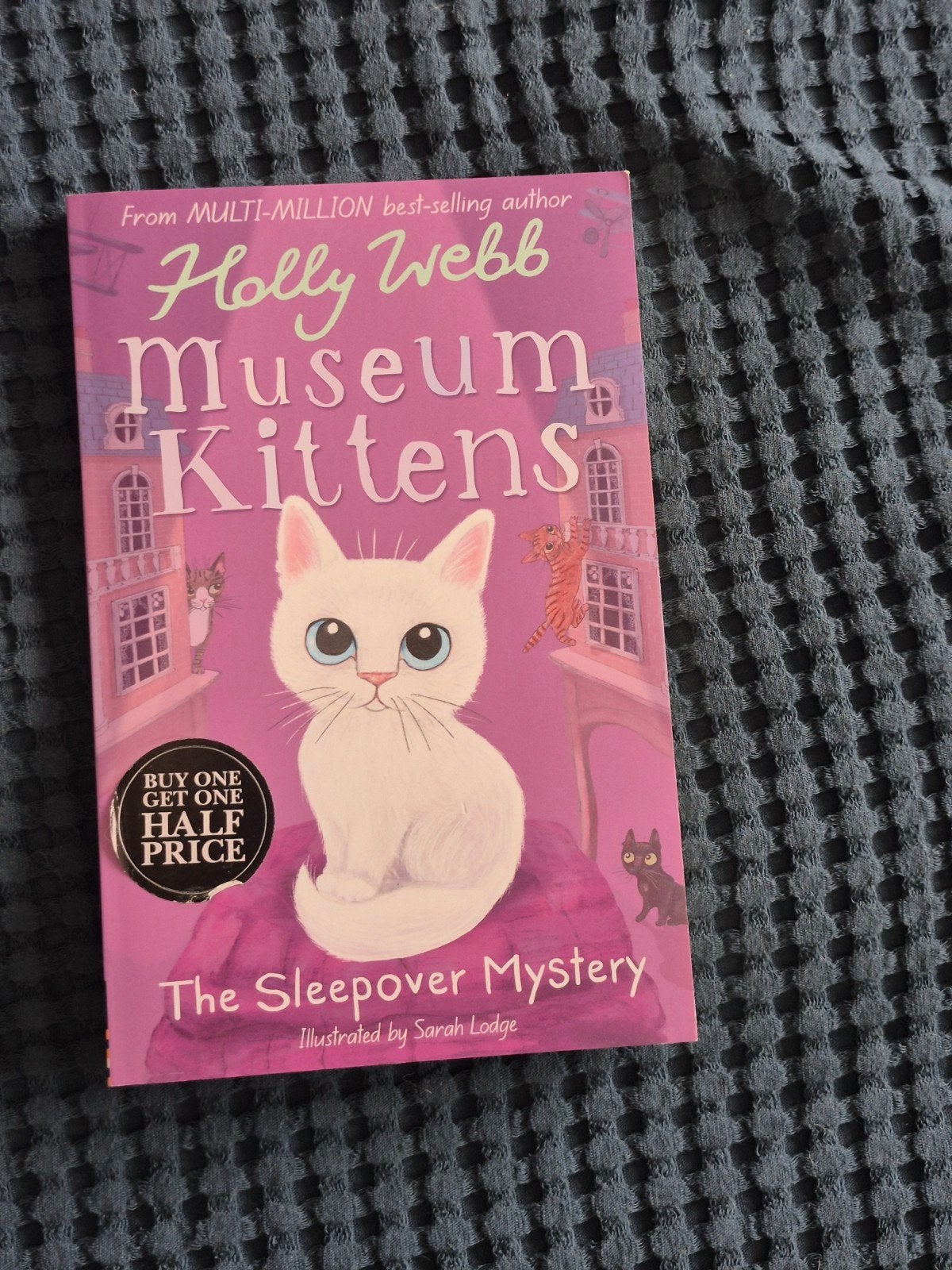 Museum Kittens: The Sleepover Mystery - Holly Webb, Ophalen of Verzenden, Zo goed als nieuw, Holly Webb, Fictie algemeen