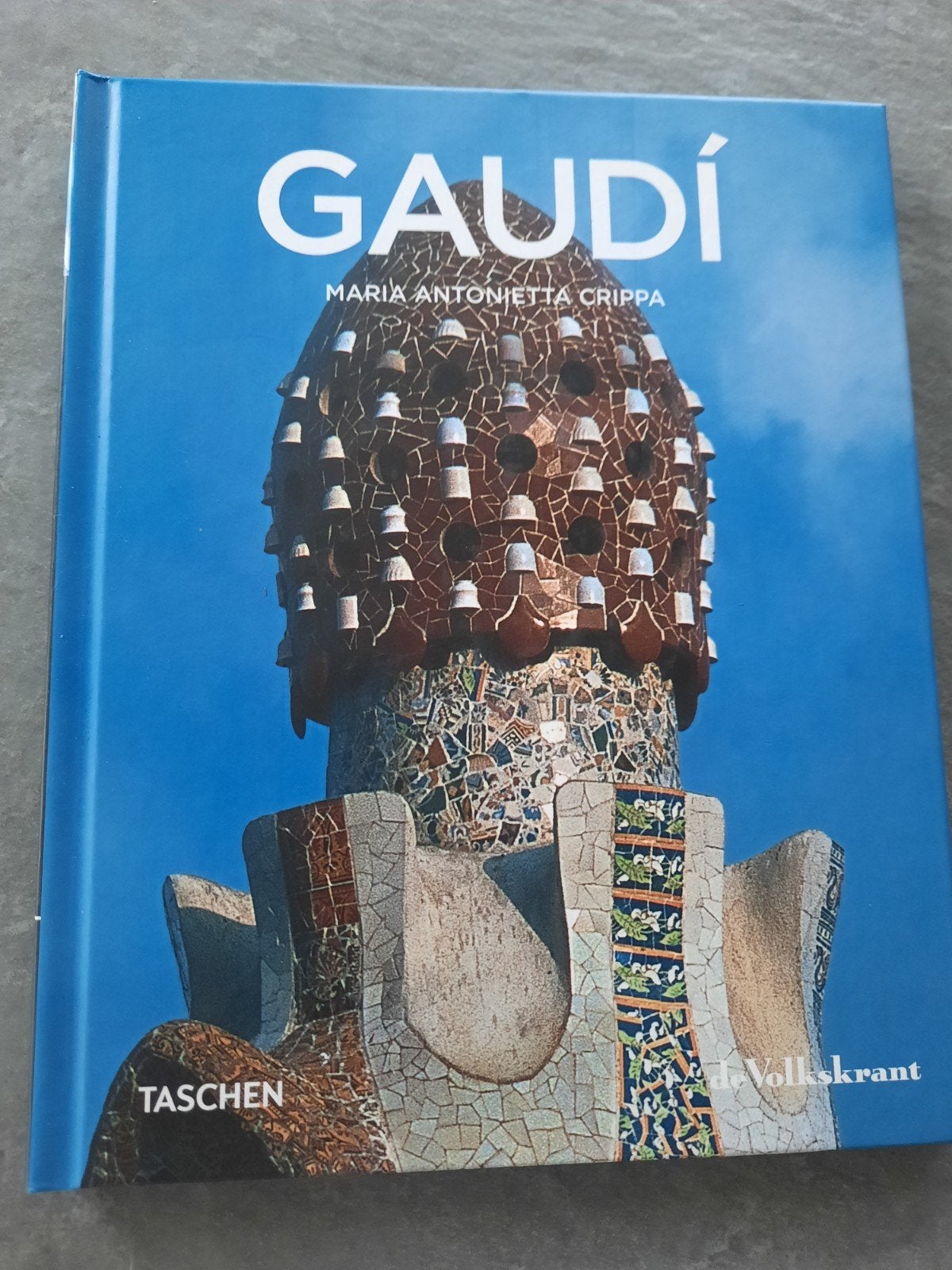 Gaudi 1852-1926 Van natuur naar architectuur Boek is ZGAN, Ophalen of Verzenden, Zo goed als nieuw, Architectuur algemeen