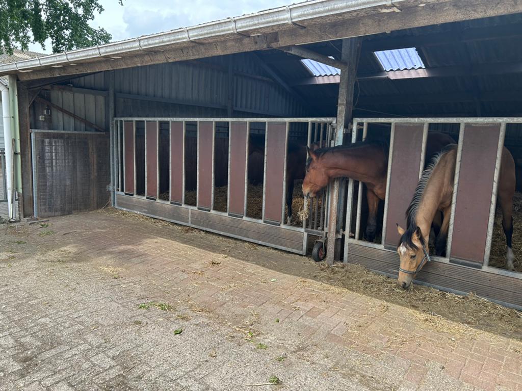 Voerhekken paarden, Dieren en Toebehoren, Stalling