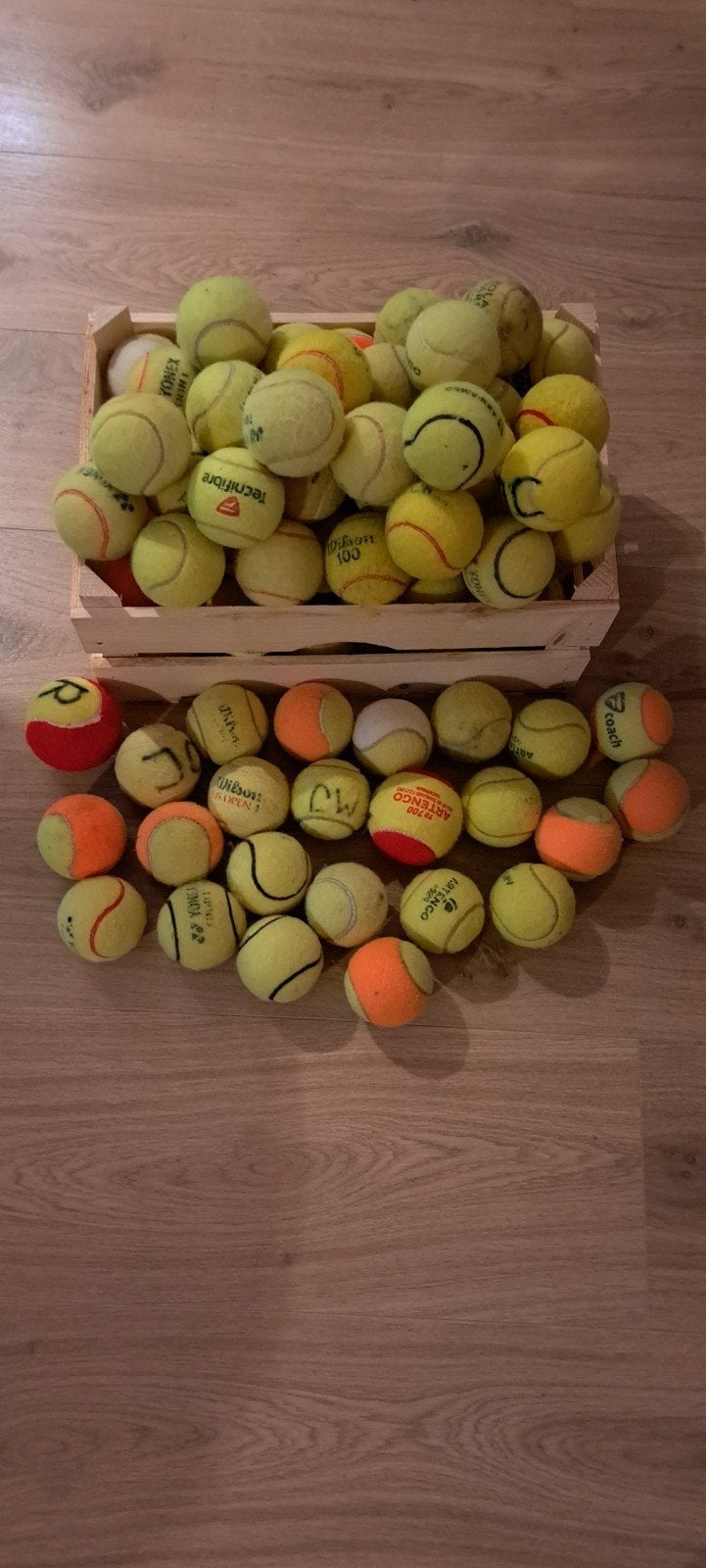 Gebruikte tennisballen, Ophalen of Verzenden, Gebruikt, Hondenballen
