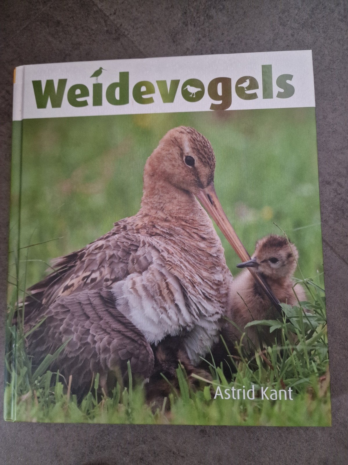 Weidevogels - Astrid Kant (Nieuwstaat), Boeken, Ophalen of Verzenden, Zo goed als nieuw, Astrid Kant, Vogels