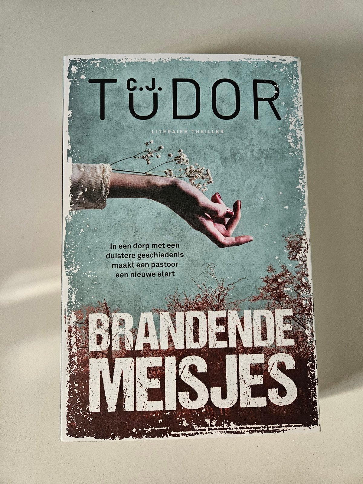 C.J. Tudor Brandende meisjes, Ophalen of Verzenden, Zo goed als nieuw