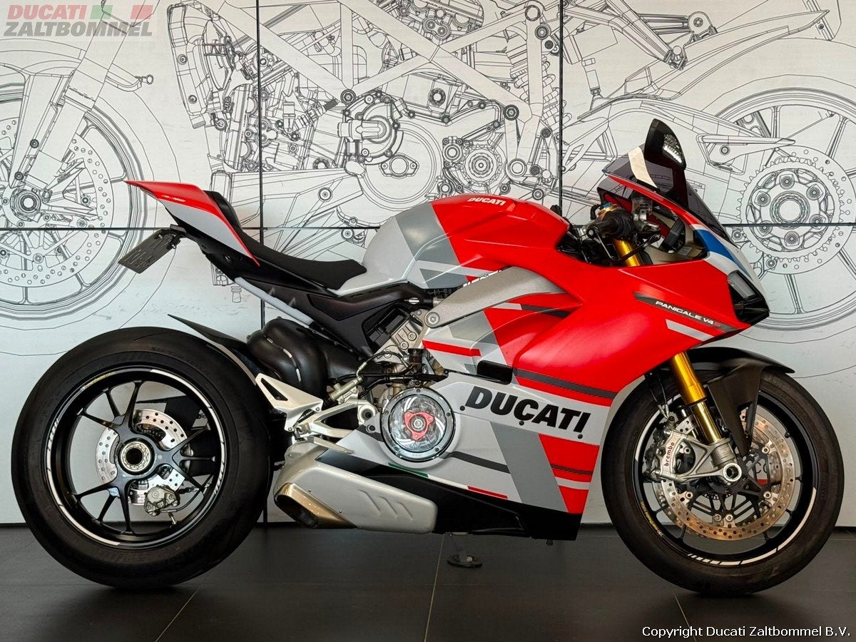 Ducati PANIGALE V4 S CORSE (bj 2019), Bedrijf, Super Sport, Meer dan 35 kW, 1103 cc