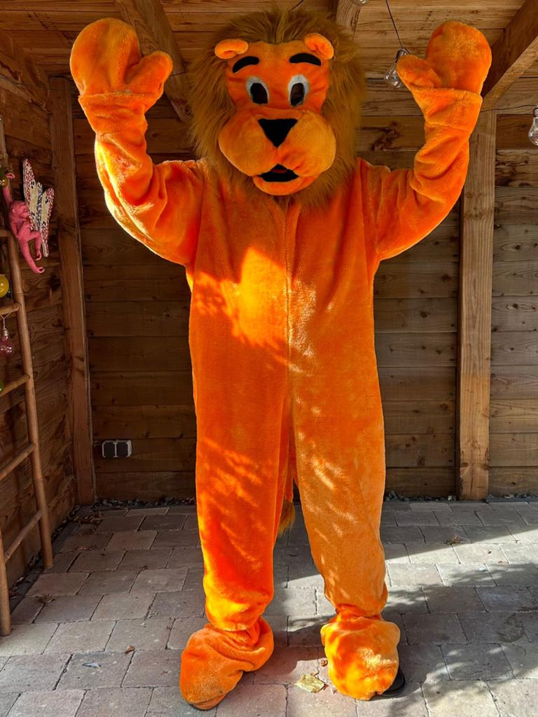 EK WK oranje leeuw Holland 25 euro per dag te huur, Ophalen of Verzenden, Zo goed als nieuw, Oranje of Koningsdag