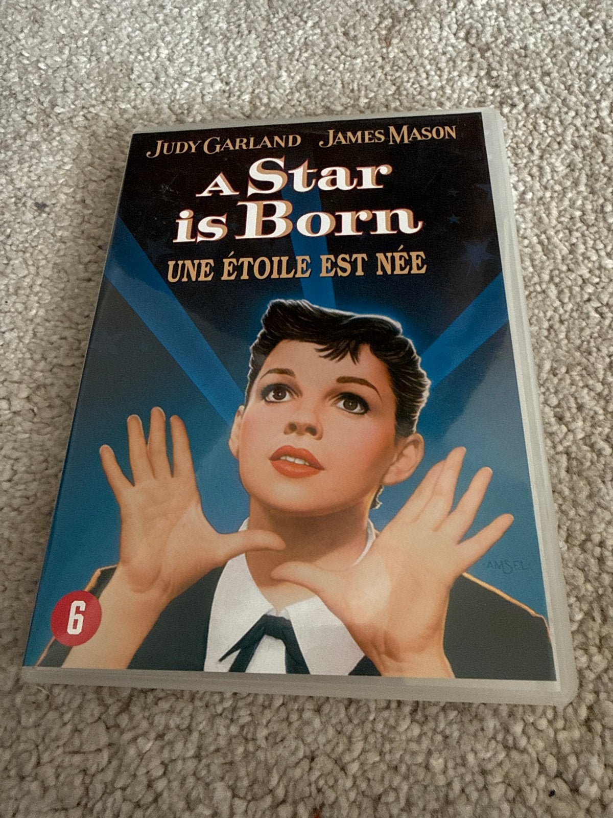 A Star is Born (1954) DVD - Judy Garland, Cd's en Dvd's, Dvd's | Drama, Gebruikt, Vanaf 6 jaar, Ophalen of Verzenden