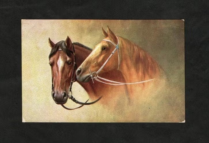 Ansichtkaart Paard Paarden Bruin Jaren 20., Ophalen of Verzenden, 1920 tot 1940, Ongelopen, Paard