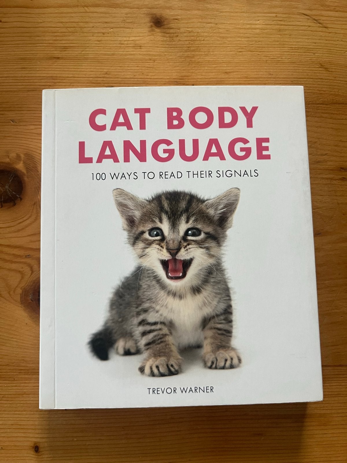 Kat Lichaamstaal: 100 Manieren om Signalen te Lezen, Ophalen of Verzenden, Zo goed als nieuw, Katten