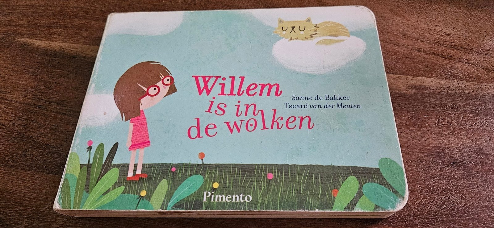 Willem is in de wolken - Prentenboek Sanne de Bakker, Ophalen of Verzenden, Zo goed als nieuw, Sanne de Bakker, 3 tot 4 jaar